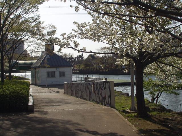 img0009.jpg