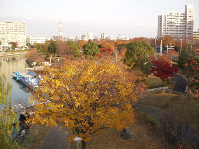 img0010.jpg