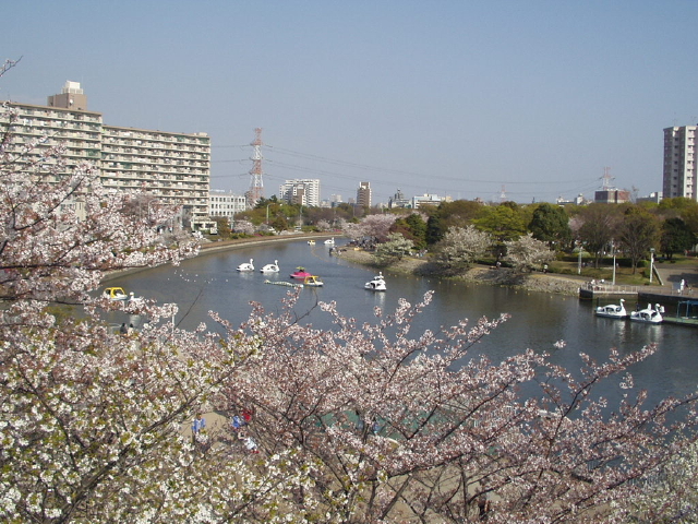 img0012.jpg