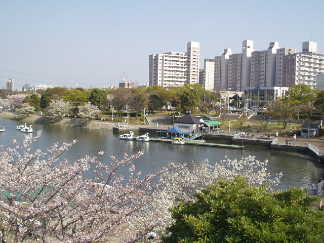 img0013.jpg
