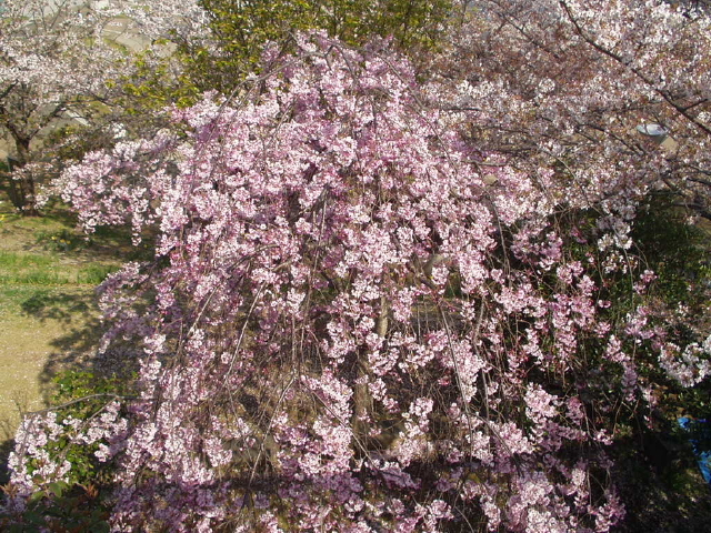 img0014.jpg