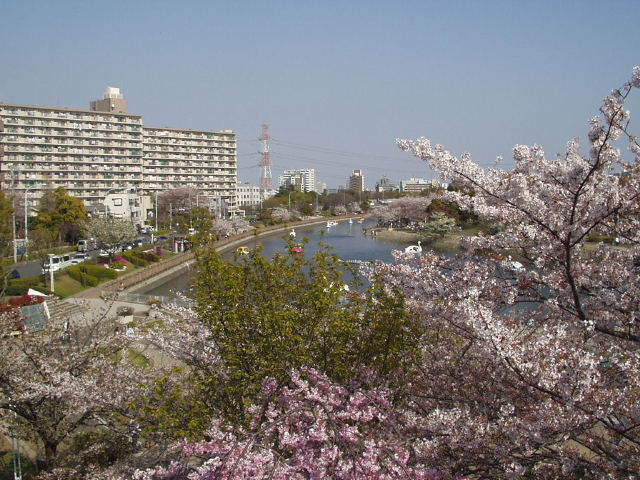 img0015.jpg