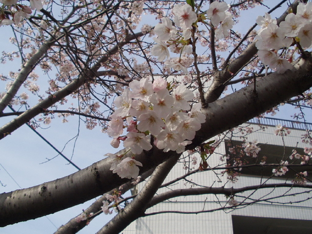 img0026.jpg