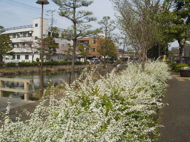 img0028.jpg