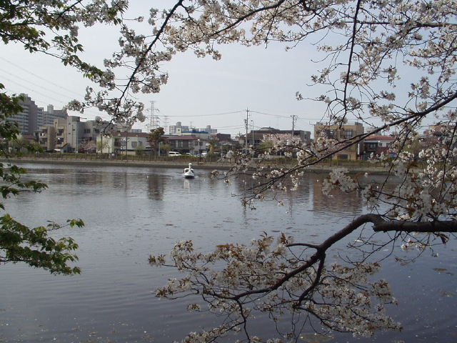 img0030.jpg