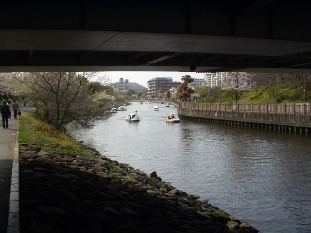 img0033.jpg