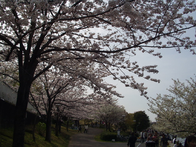 img0034.jpg
