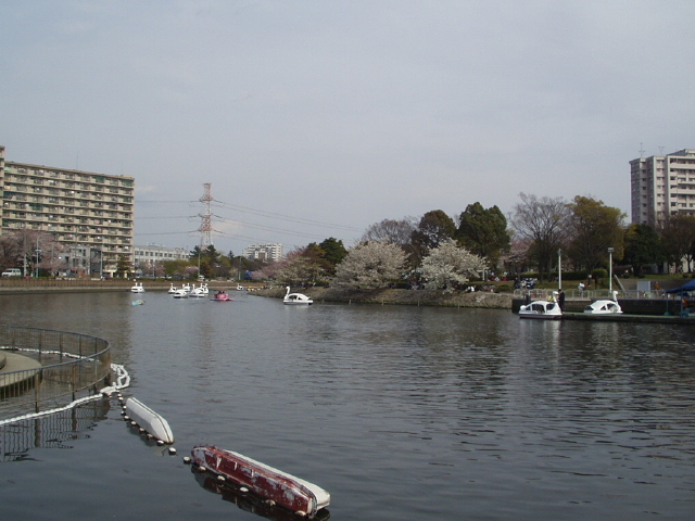 img0036.jpg
