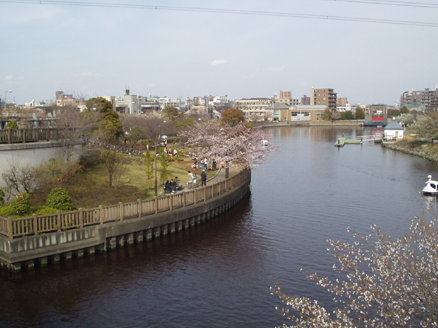 img0043.jpg