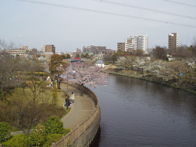 img0045.jpg