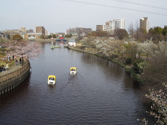 img0046.jpg