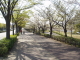 img0003.jpg