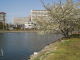 img0005.jpg
