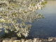 img0007.jpg