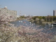 img0012.jpg