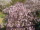 img0014.jpg