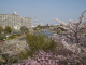 img0015.jpg