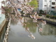img0017.jpg