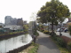 img0019.jpg