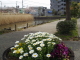 img0022.jpg