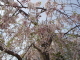 img0024.jpg