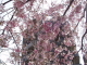 img0025.jpg