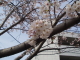 img0026.jpg