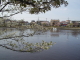 img0031.jpg