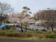 img0038.jpg
