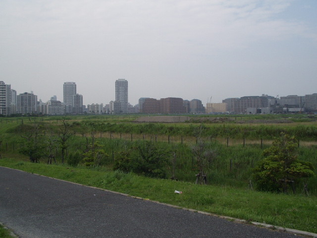 img0002.jpg