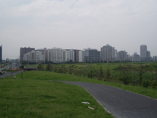 img0003.jpg