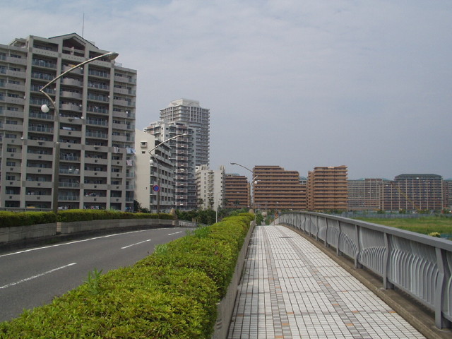 img0006.jpg