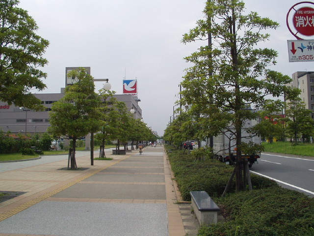 img0010.jpg