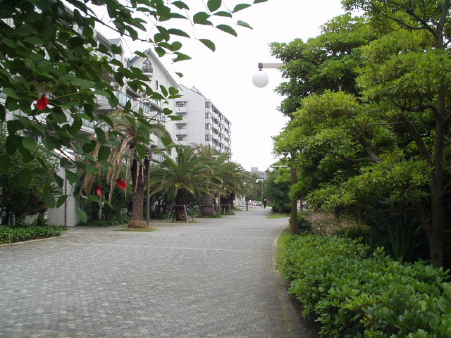 img0015.jpg