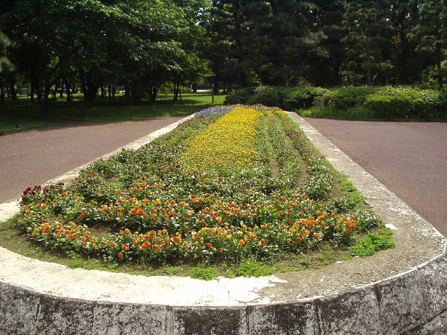 img0020.jpg