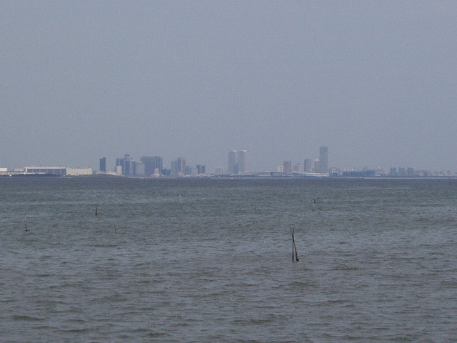 img0024.jpg