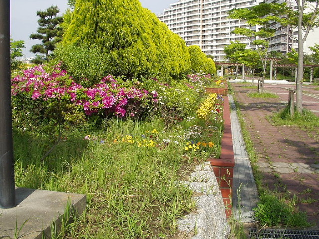 img0042.jpg