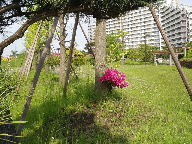 img0044.jpg