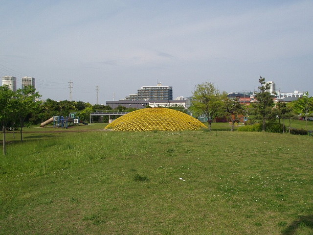 img0045.jpg