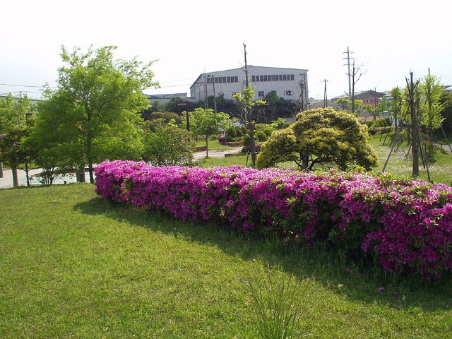 img0046.jpg