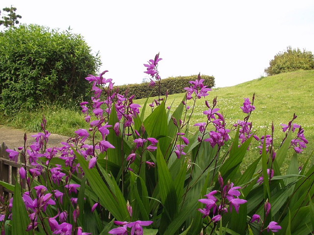 img0049.jpg