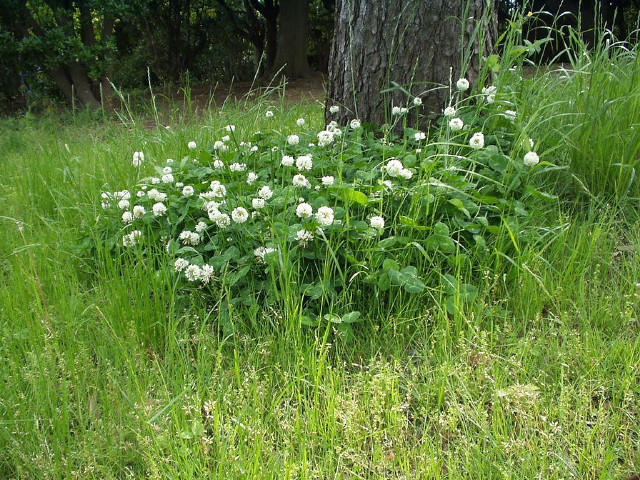 img0053.jpg