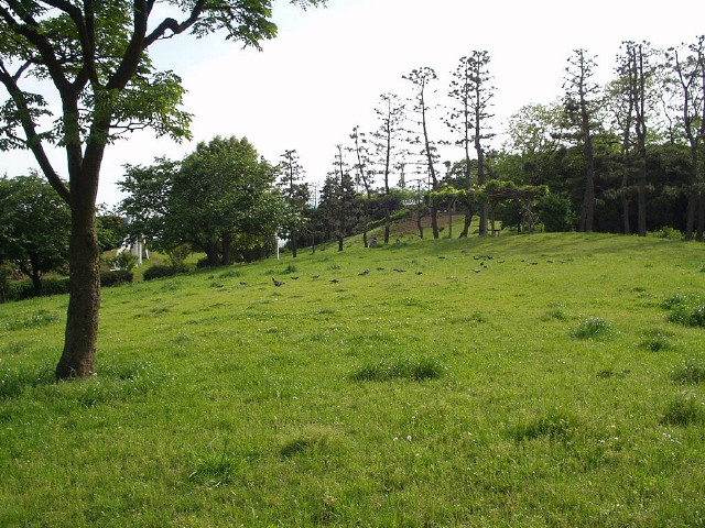 img0054.jpg