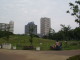 img0019.jpg