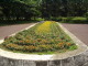 img0020.jpg