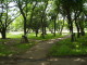 img0021.jpg