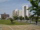 img0035.jpg