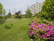 img0043.jpg