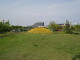 img0045.jpg