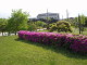 img0046.jpg